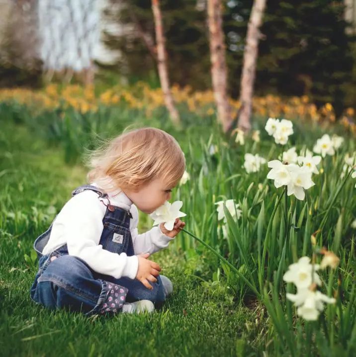 珠海室內設計 珠海室內設計